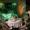 Yard Wedding (Single Table, Compressed)